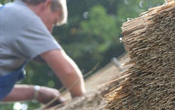 professional Brand Green thatchers